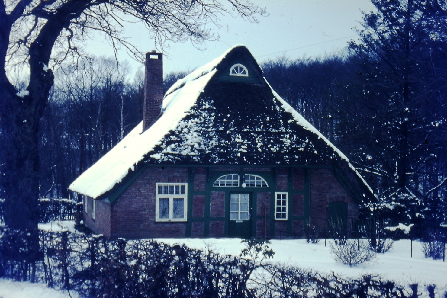 Ein Bild, das Gebäude, draußen, Baum, Schnee enthält.

Automatisch generierte Beschreibung