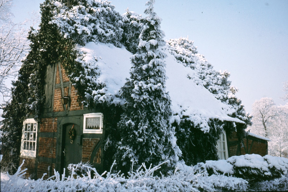 Ein Bild, das draußen, Baum, Schnee, Gefrieren enthält.

Automatisch generierte Beschreibung